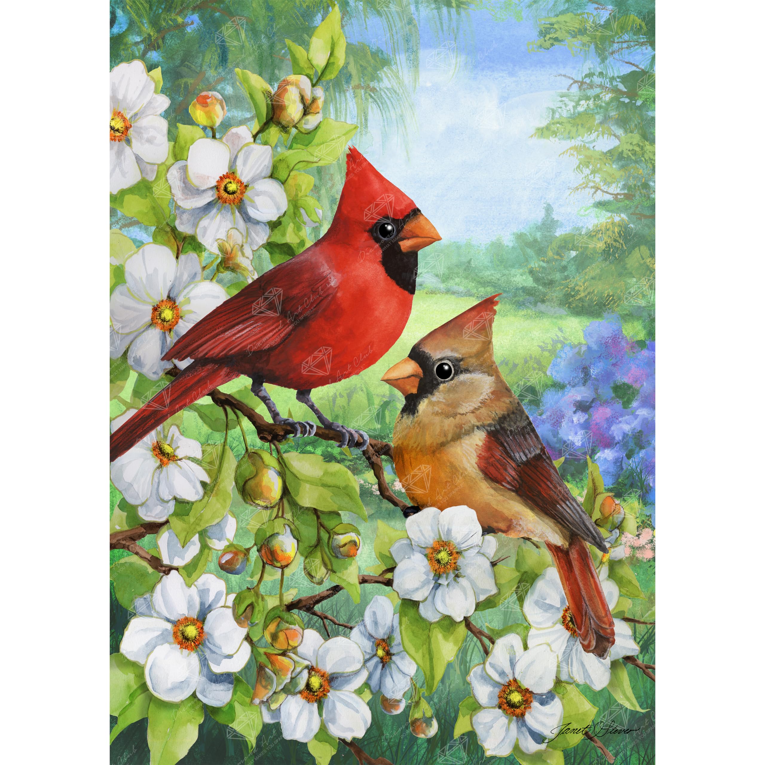 Amazon.com: DIAMOND ART CLUB Cardinal Couple Diamond Painting Kit